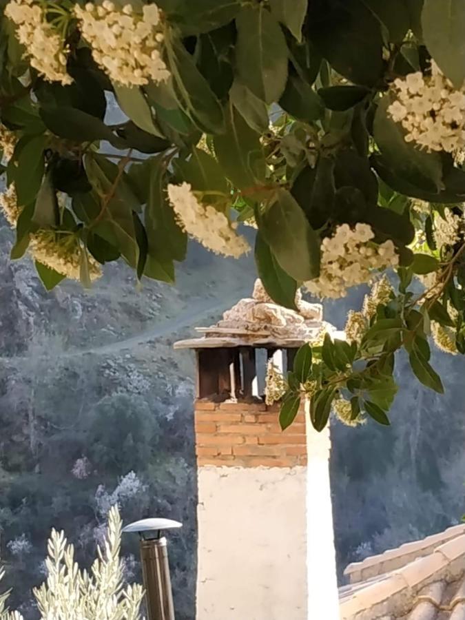 Cortijo La Solana Pensionat Guejar Sierra Exteriör bild