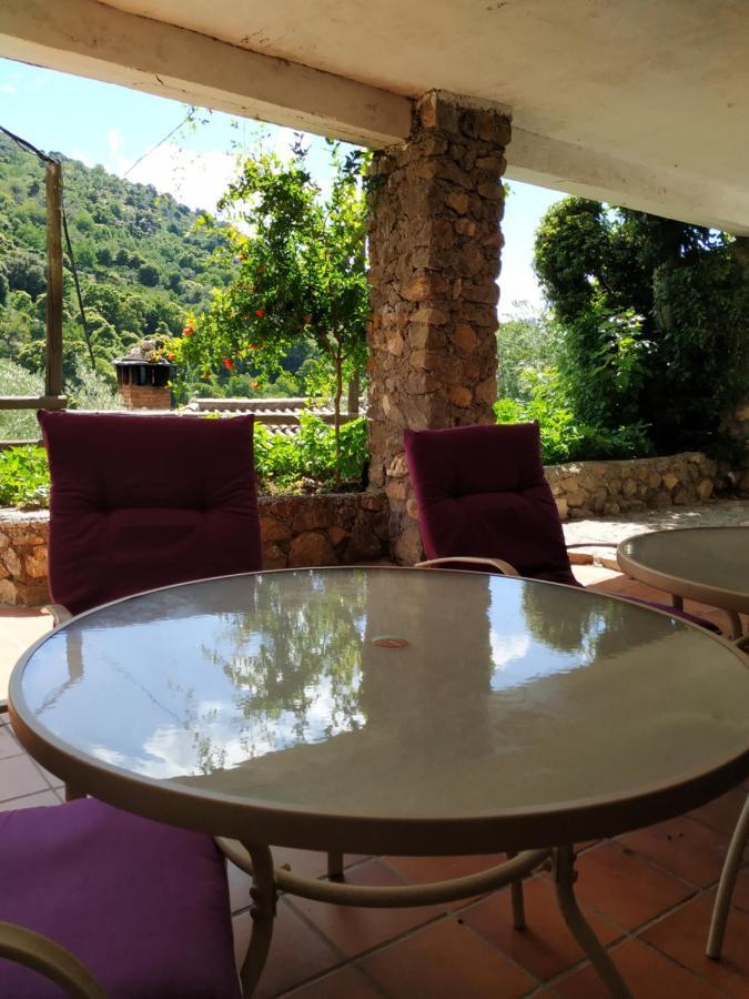 Cortijo La Solana Pensionat Guejar Sierra Exteriör bild