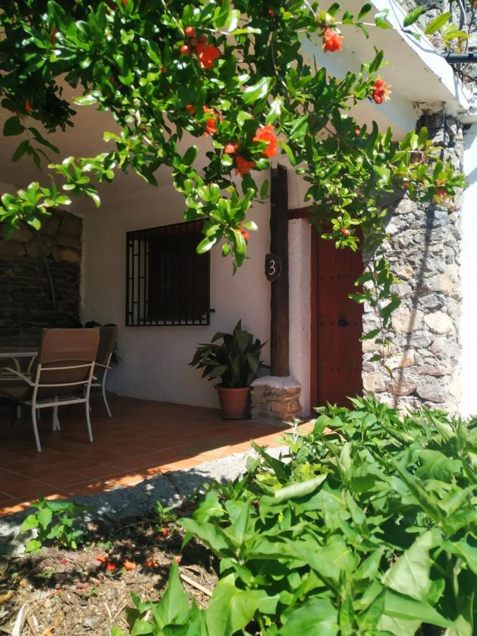 Cortijo La Solana Pensionat Guejar Sierra Exteriör bild