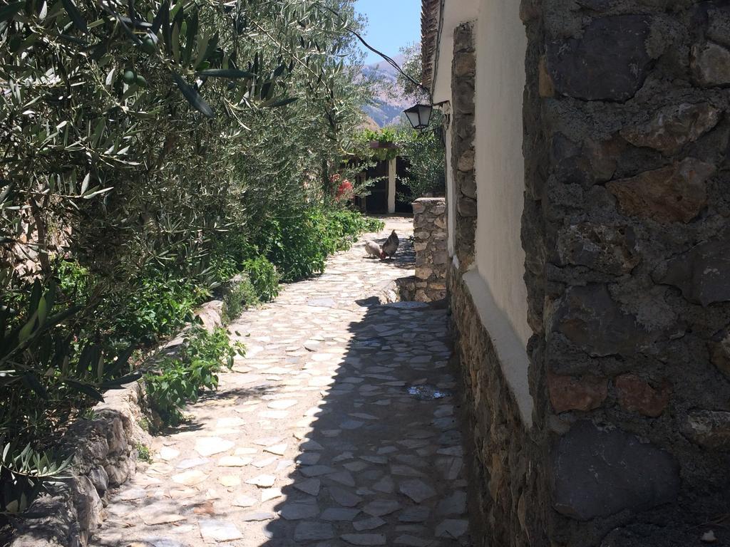 Cortijo La Solana Pensionat Guejar Sierra Exteriör bild